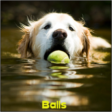 Fido's Fave Balls